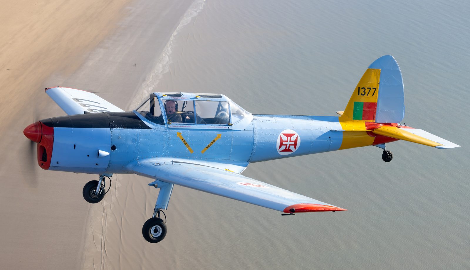 Blue and yellow Chipmunk trainer marked 1377 flying above a sandy shoreline.